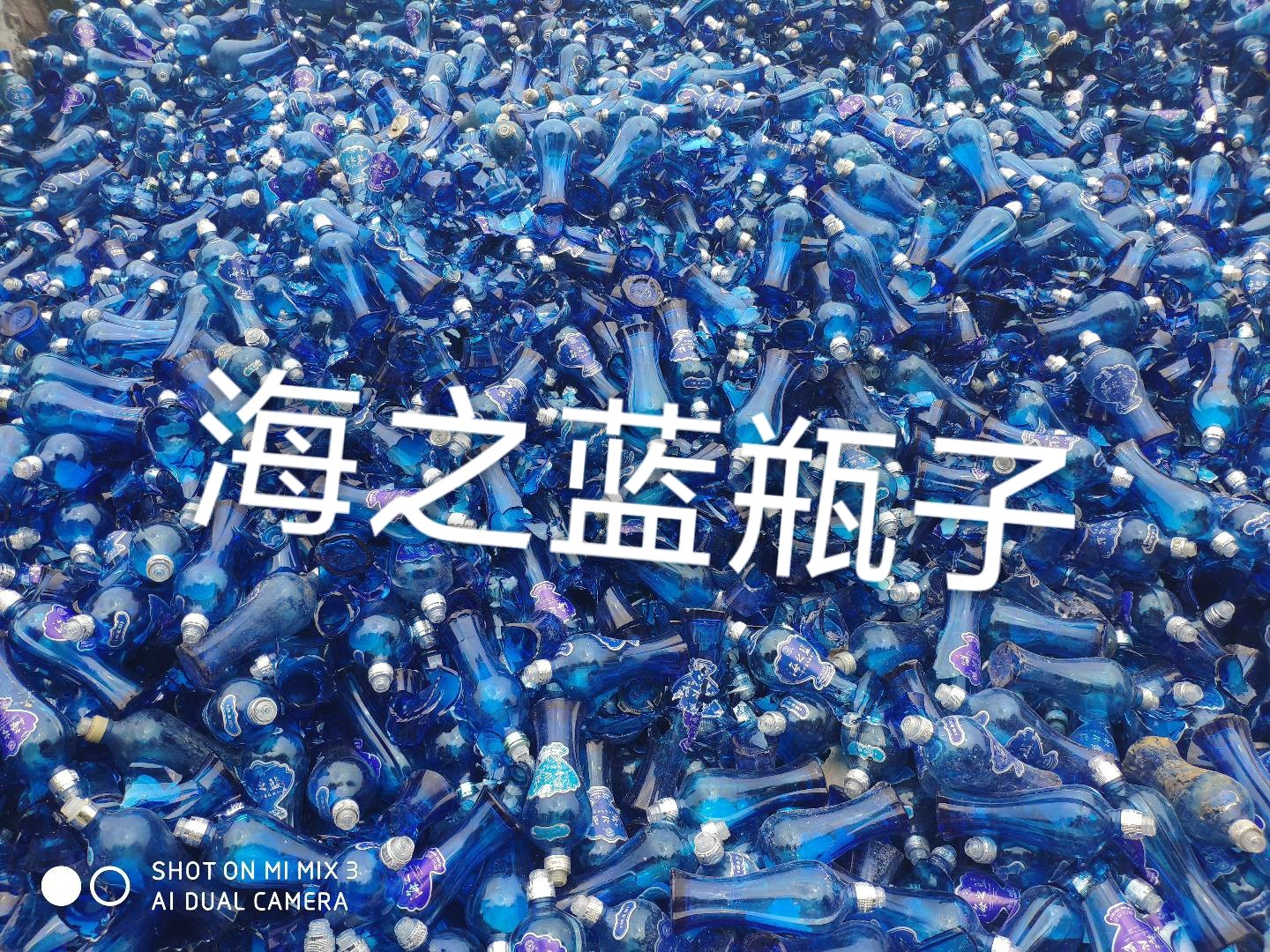 太仓海之蓝瓶回收