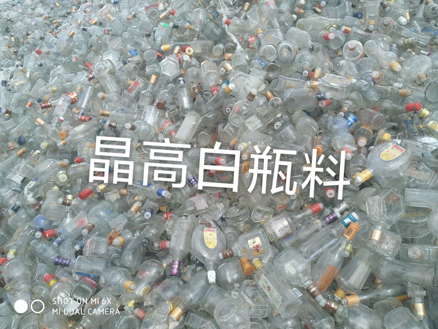太仓晶高白瓶料回收