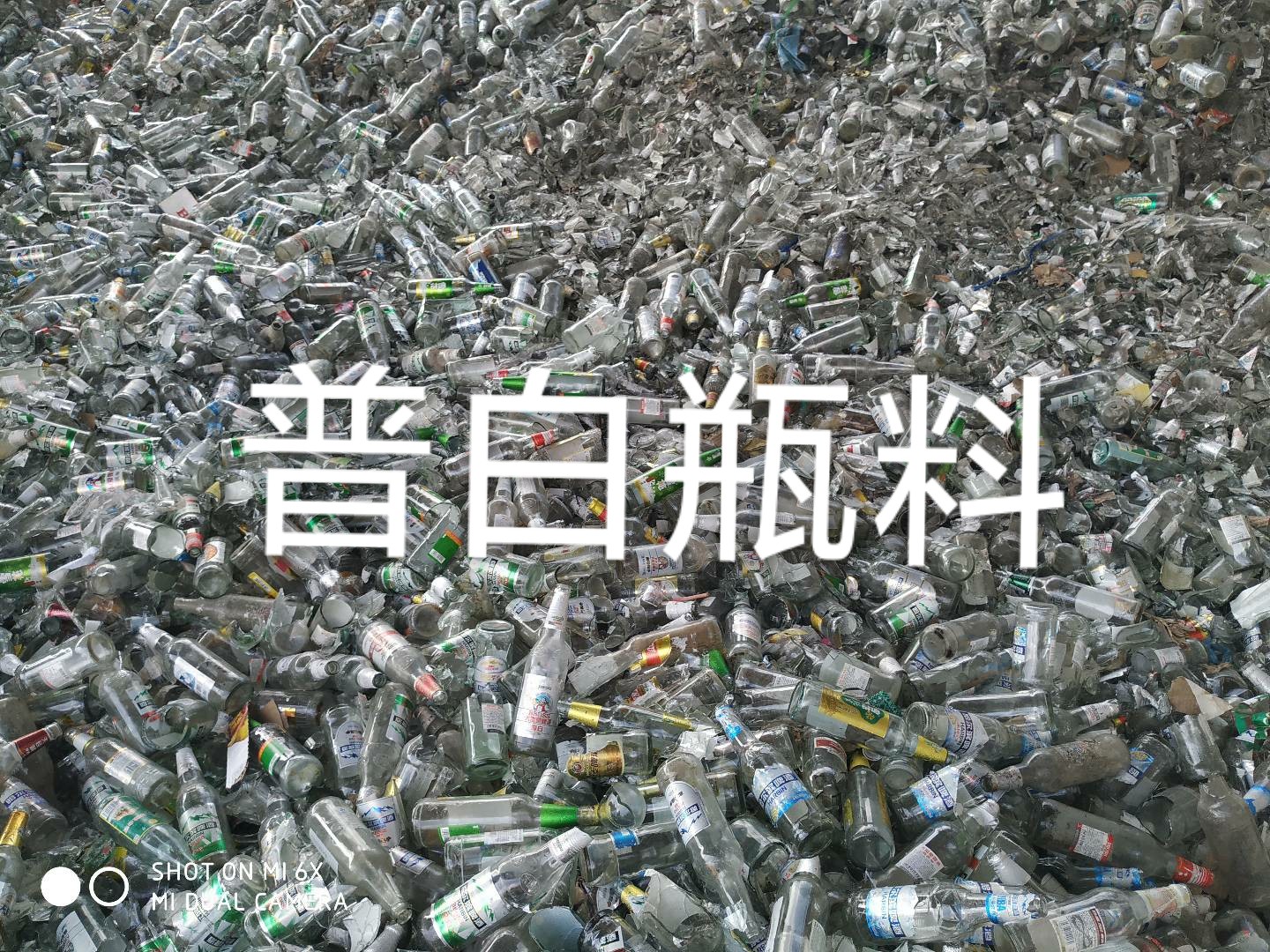 太仓普白瓶料回收